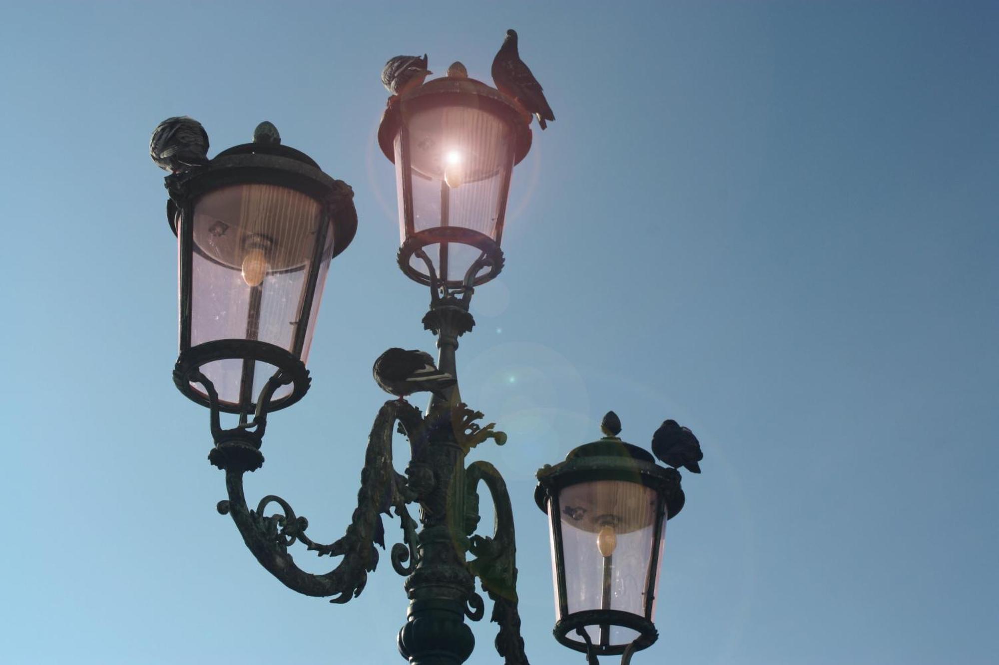 Luxhaven Venice Frühstückspension